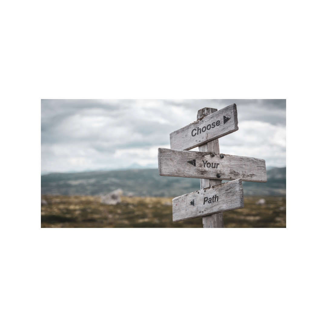 a signpost in countryside bearing the words "choose your path"